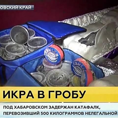 Un transport funerar care a depășit viteza ducea icre negre în sicriu